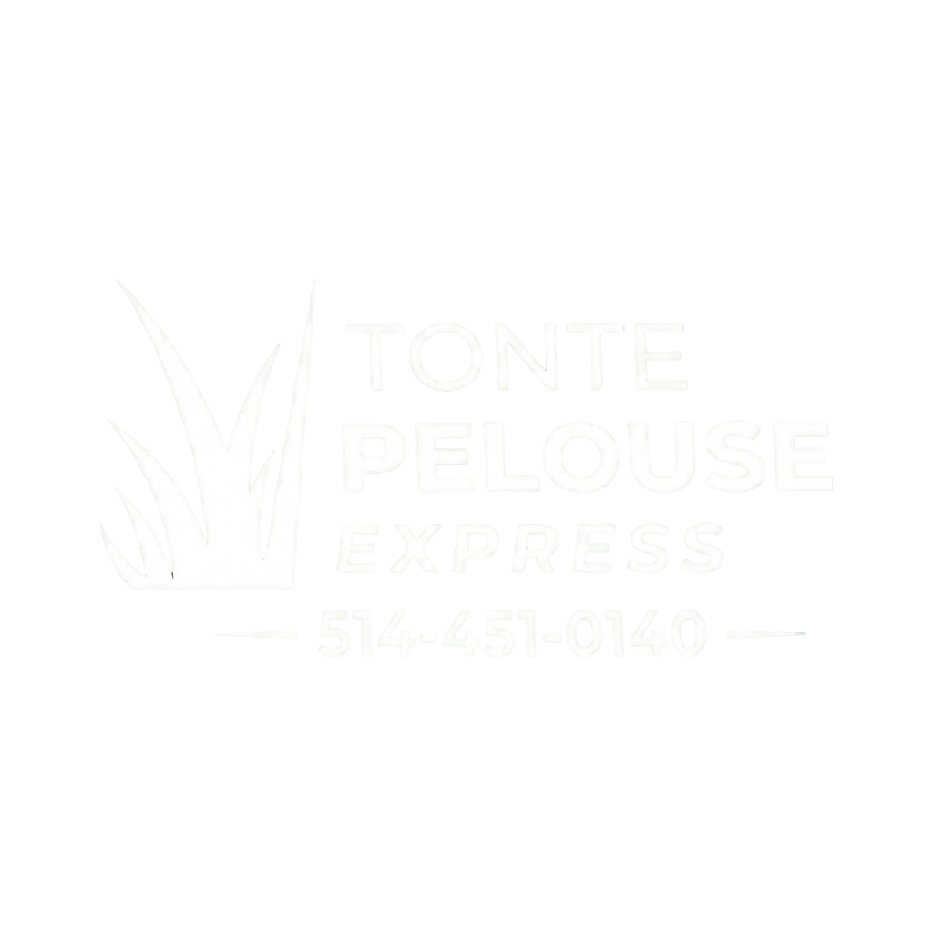 tonte-pelouse-express-logo-noir-blanc